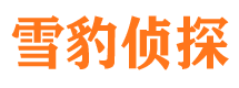 阳新市私家侦探